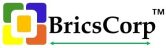 BricsLogo